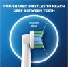 Oral-B VITALITY PLUS PRECISION CLEAN 充電電動牙刷 (護齦清潔) \\3種不同長度刷毛有效深層清潔牙齒牙縫間與牙齒表面的牙菌膜//